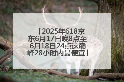 2025年618京东6月17日晚8点至6月18日24点这巅峰28小时内最便宜